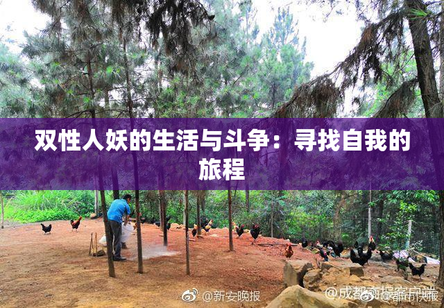 双性人妖的生活与斗争：寻找自我的旅程