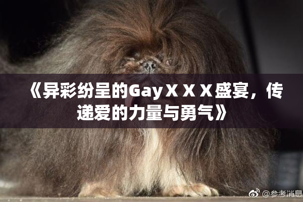 《异彩纷呈的GayⅩⅩⅩ盛宴，传递爱的力量与勇气》