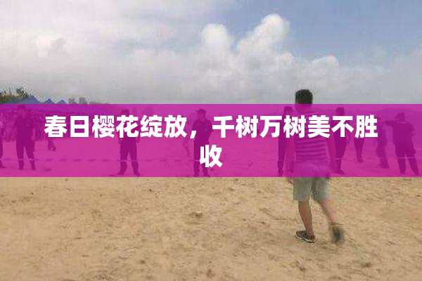 春日樱花绽放，千树万树美不胜收