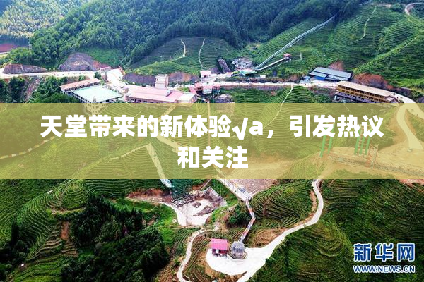天堂带来的新体验√a，引发热议和关注