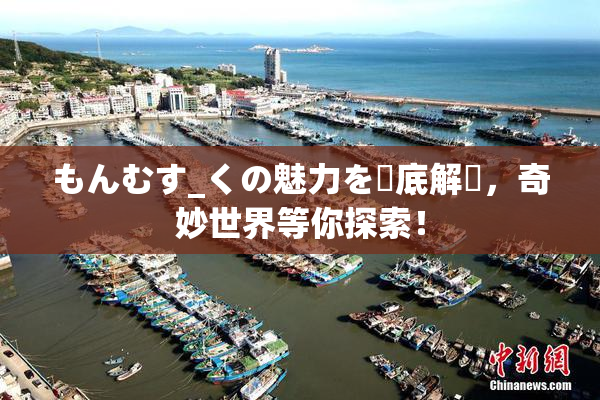 もんむす_くの魅力を徹底解説，奇妙世界等你探索！