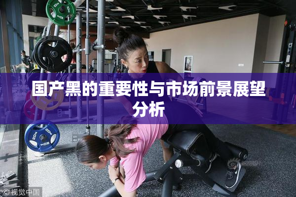 国产黑的重要性与市场前景展望分析