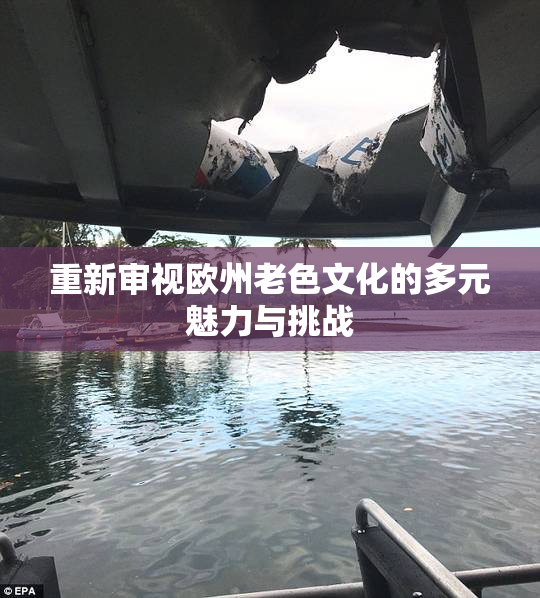 重新审视欧州老色文化的多元魅力与挑战