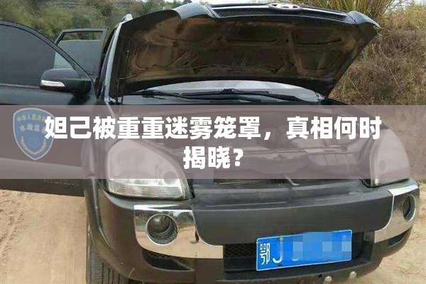 妲己被重重迷雾笼罩，真相何时揭晓？