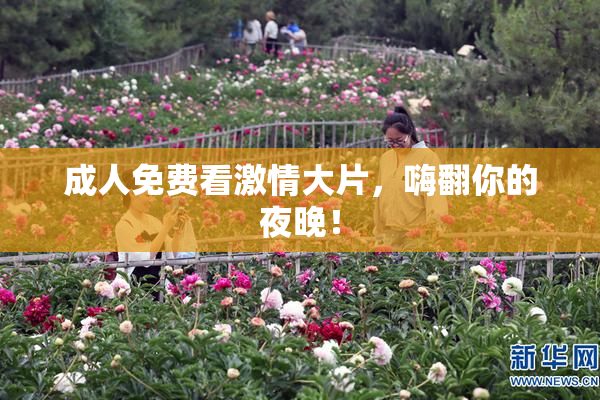 成人免费看激情大片，嗨翻你的夜晚！