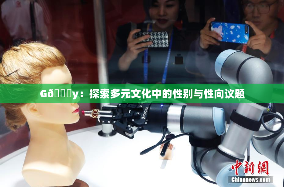 G🈚y：探索多元文化中的性别与性向议题