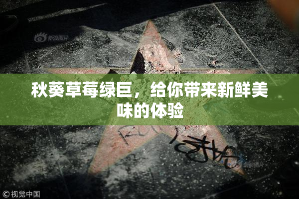 秋葵草莓绿巨，给你带来新鲜美味的体验