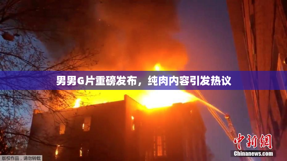 男男G片重磅发布，纯肉内容引发热议