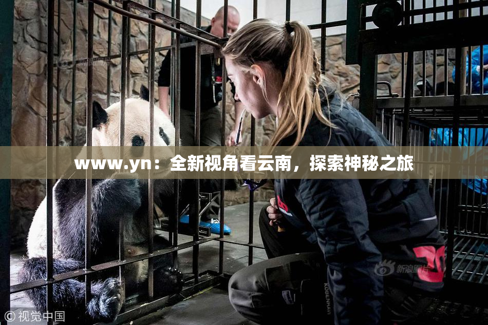 www.yn：全新视角看云南，探索神秘之旅