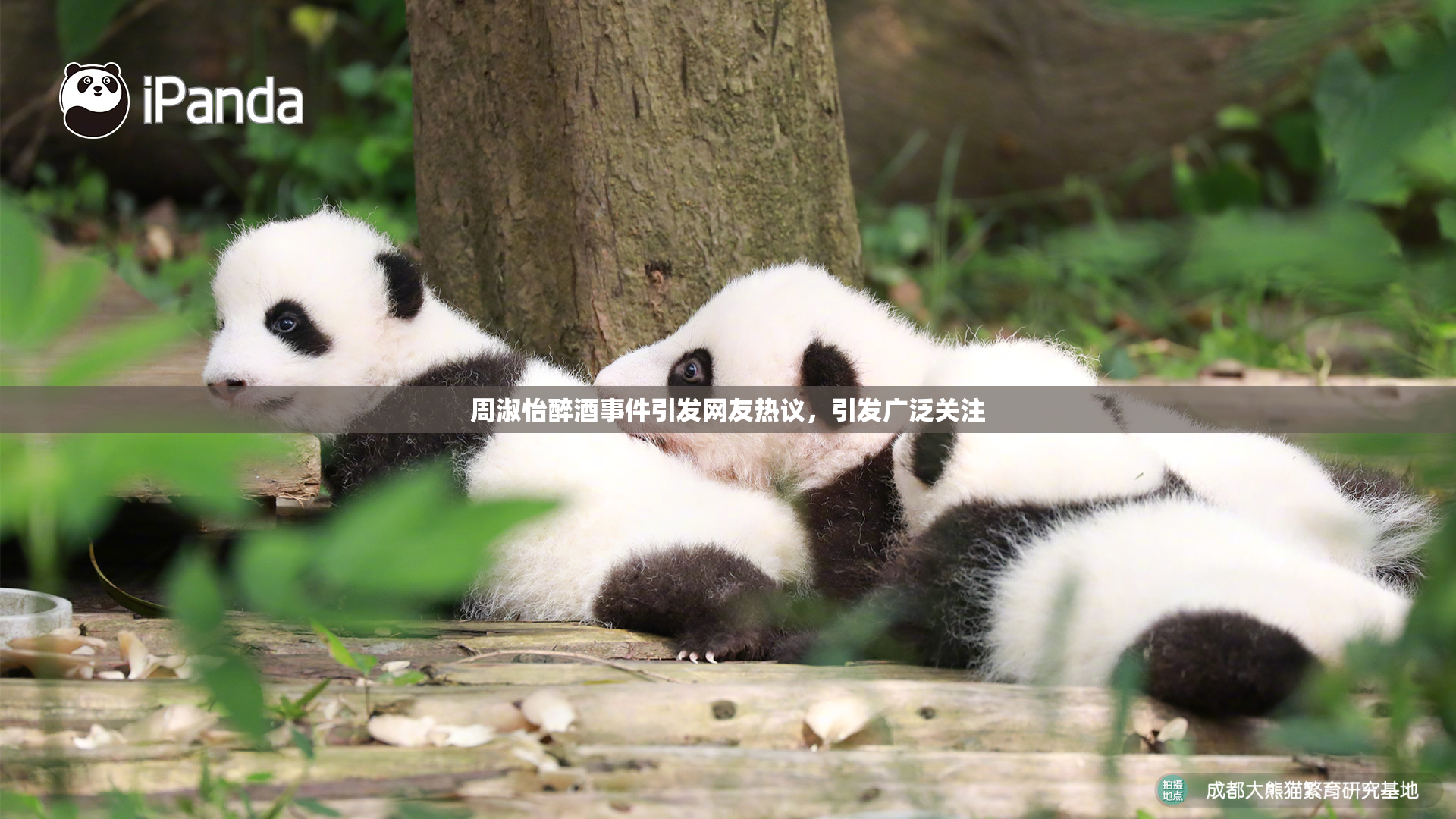 周淑怡醉酒事件引发网友热议，引发广泛关注