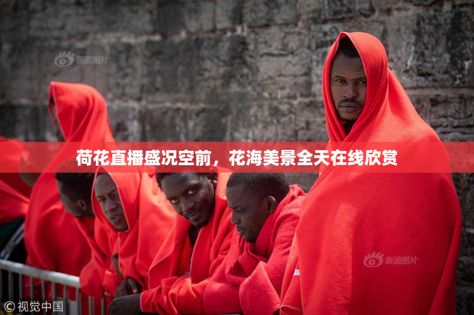 荷花直播盛况空前，花海美景全天在线欣赏