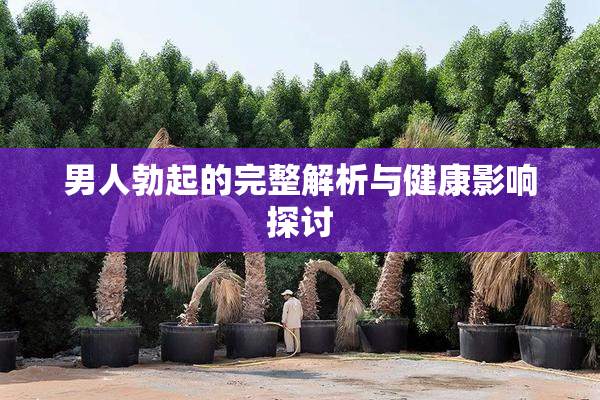 男人勃起的完整解析与健康影响探讨