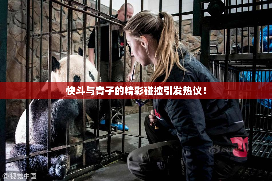 快斗与青子的精彩碰撞引发热议！