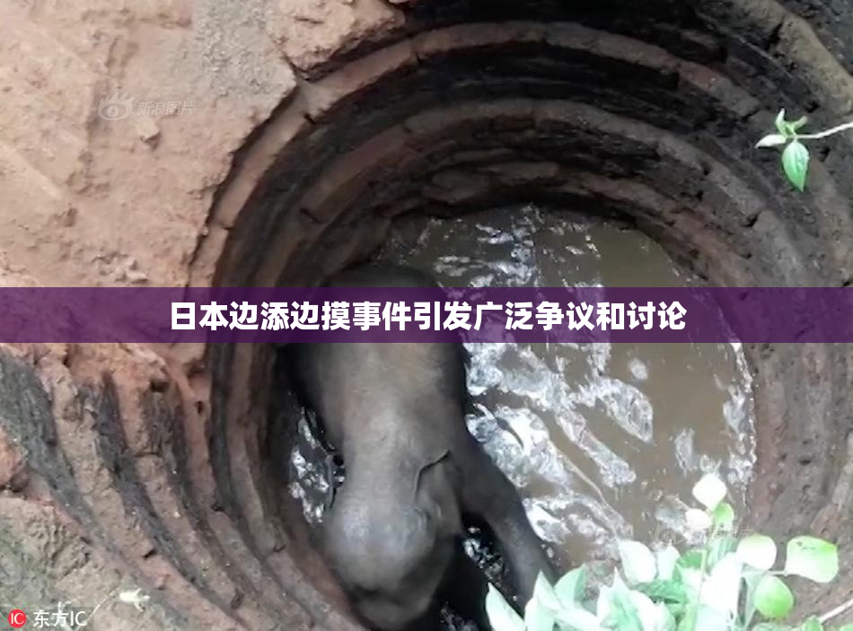 日本边添边摸事件引发广泛争议和讨论