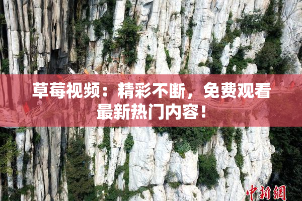 草莓视频：精彩不断，免费观看最新热门内容！