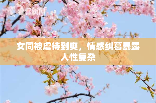 女同被虐待到爽，情感纠葛暴露人性复杂