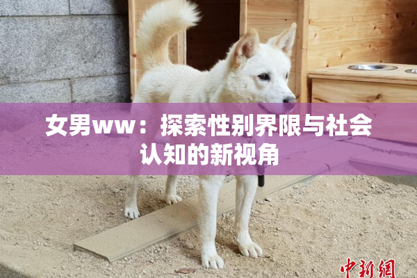 女男ww：探索性别界限与社会认知的新视角