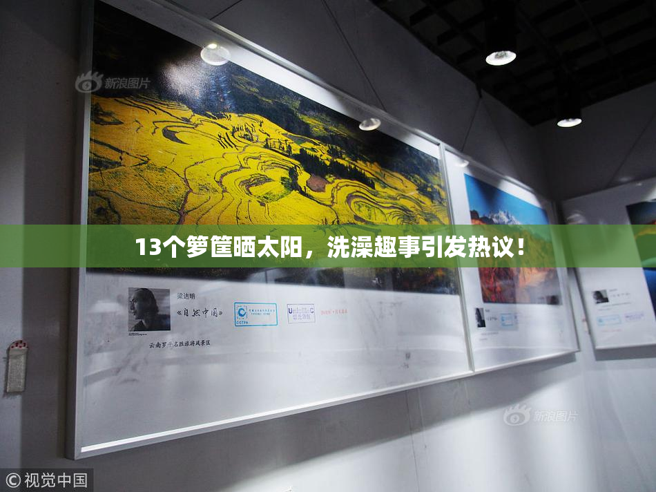 13个箩筐晒太阳，洗澡趣事引发热议！