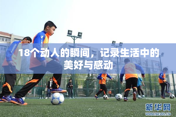 18个动人的瞬间，记录生活中的美好与感动