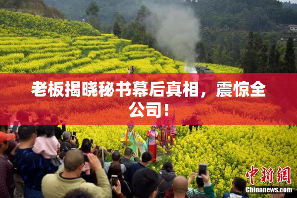 老板揭晓秘书幕后真相，震惊全公司！