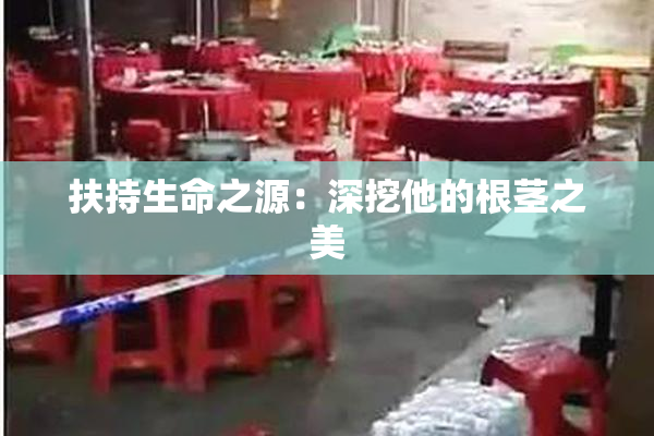 扶持生命之源：深挖他的根茎之美
