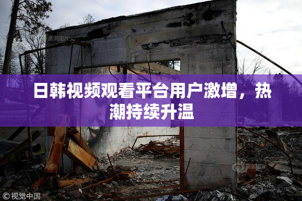 日韩视频观看平台用户激增，热潮持续升温