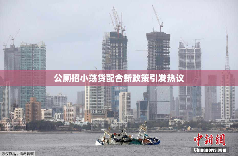 公厕招小荡货配合新政策引发热议