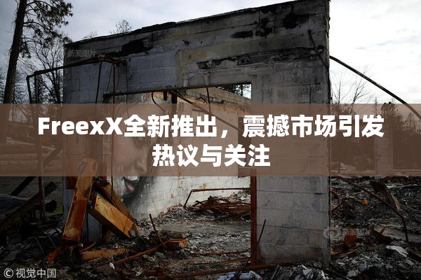 FreexX全新推出，震撼市场引发热议与关注