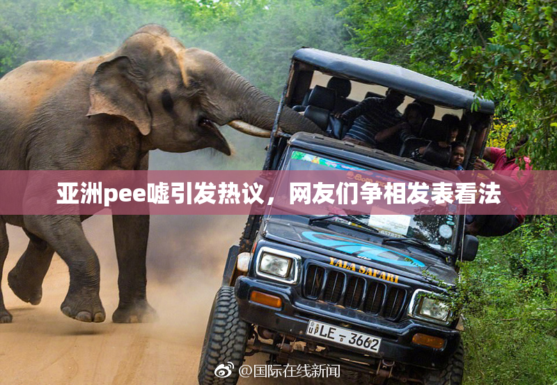 亚洲pee嘘引发热议，网友们争相发表看法