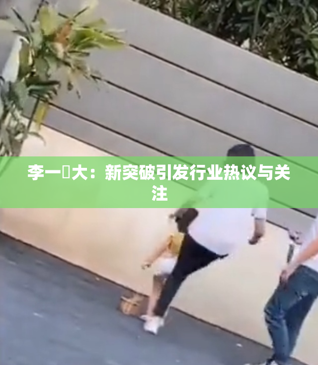 李一挏大：新突破引发行业热议与关注