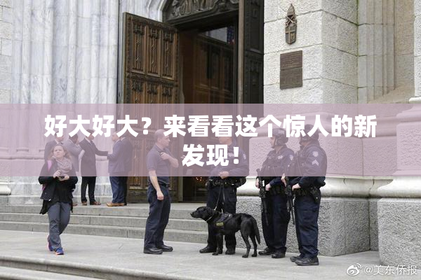 好大好大？来看看这个惊人的新发现！