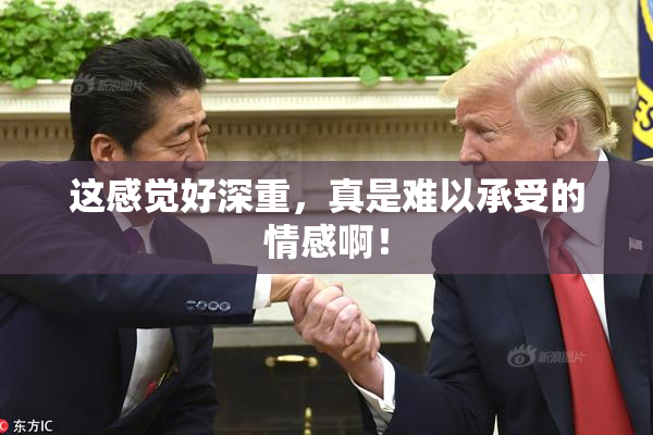 这感觉好深重，真是难以承受的情感啊！