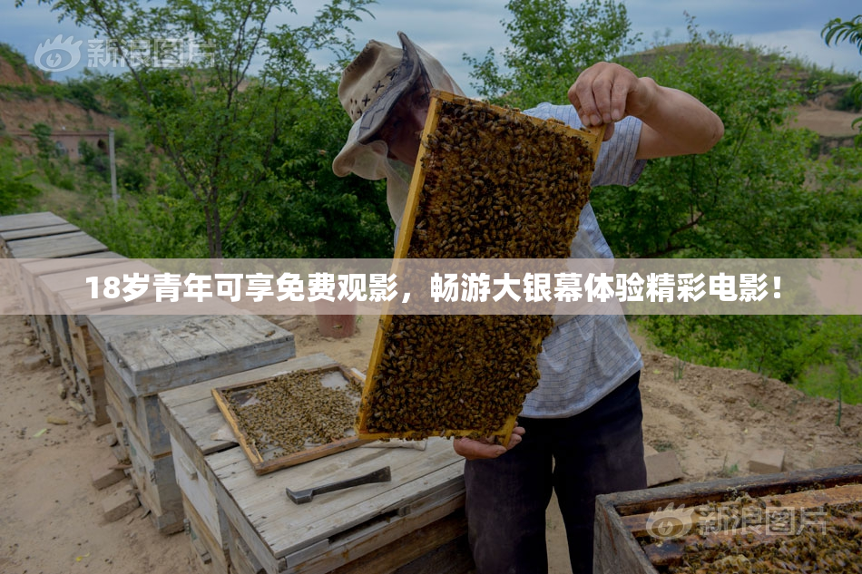 18岁青年可享免费观影，畅游大银幕体验精彩电影！