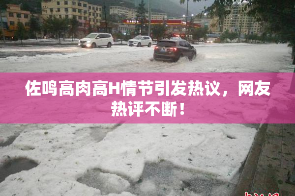 佐鸣高肉高H情节引发热议，网友热评不断！