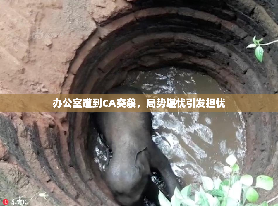 办公室遭到CA突袭，局势堪忧引发担忧