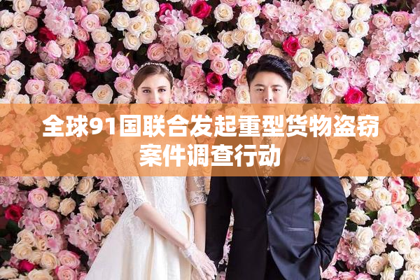 全球91国联合发起重型货物盗窃案件调查行动