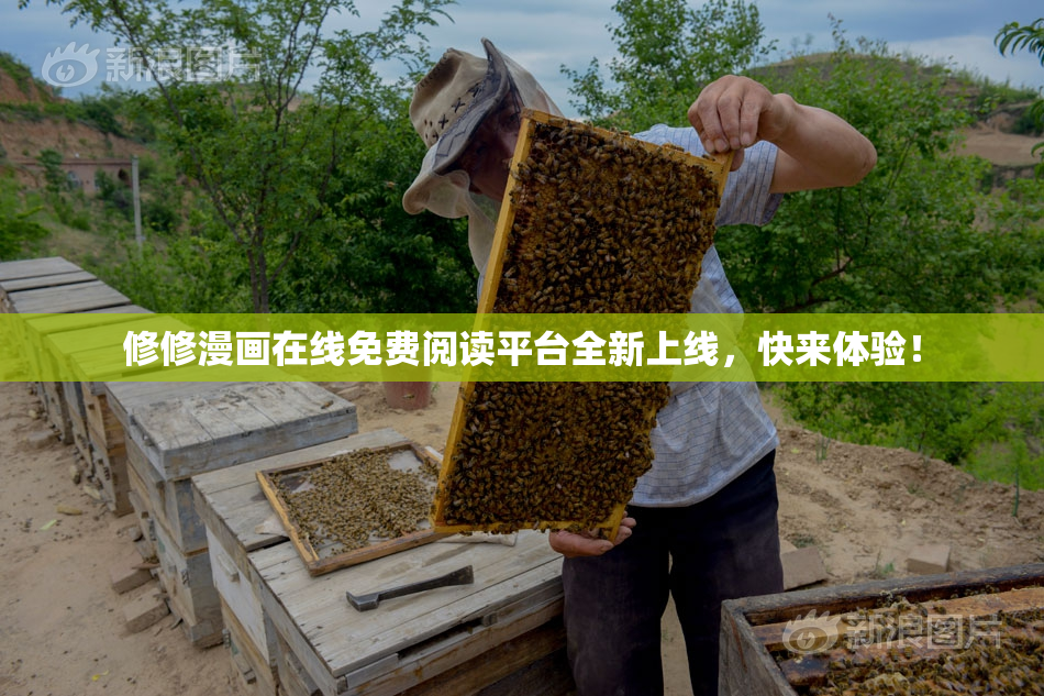 修修漫画在线免费阅读平台全新上线，快来体验！