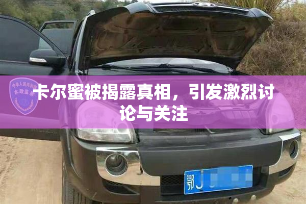卡尔蜜被揭露真相，引发激烈讨论与关注