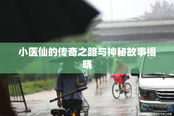 小医仙的传奇之路与神秘故事揭晓