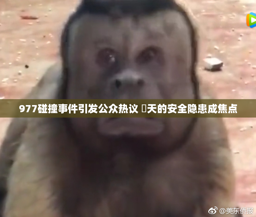 977碰撞事件引发公众热议 當天的安全隐患成焦点