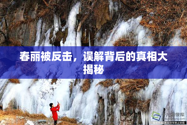 春丽被反击，误解背后的真相大揭秘
