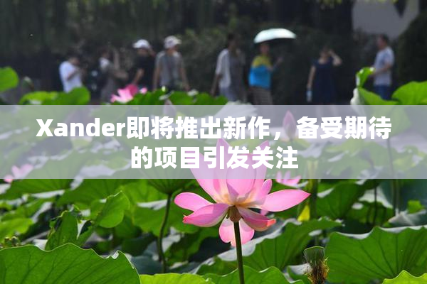 Xander即将推出新作，备受期待的项目引发关注