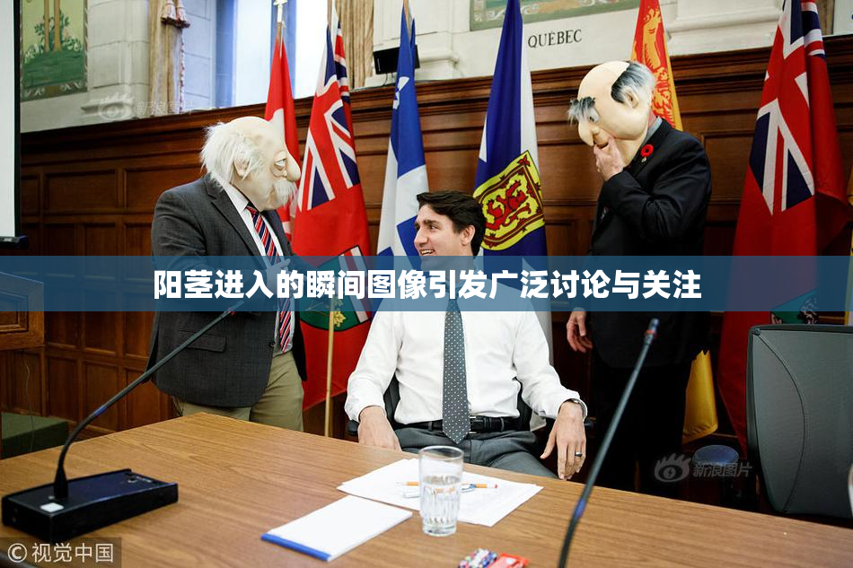 阳茎进入的瞬间图像引发广泛讨论与关注