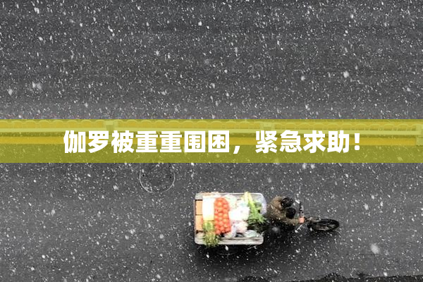 伽罗被重重围困，紧急求助！