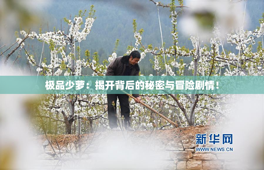 极品少萝：揭开背后的秘密与冒险剧情！