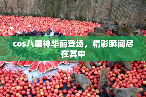 cos八重神华丽登场，精彩瞬间尽在其中
