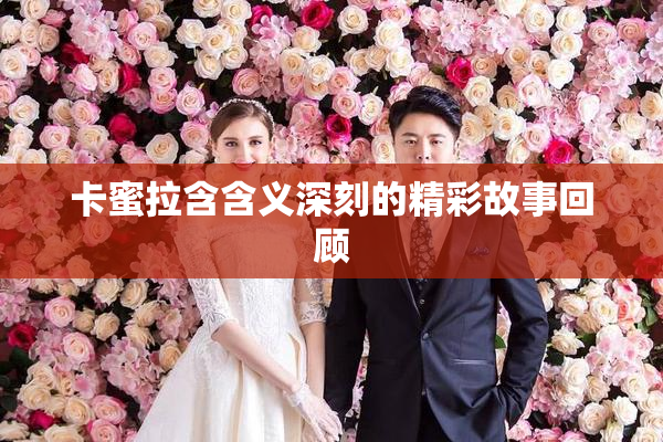 卡蜜拉含含义深刻的精彩故事回顾