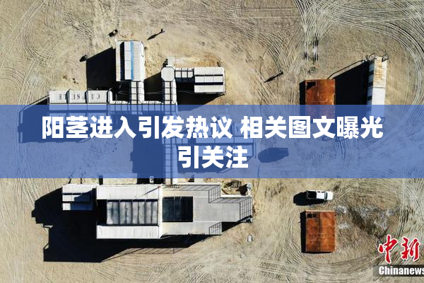 阳茎进入引发热议 相关图文曝光引关注