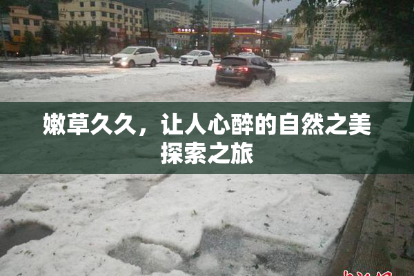 嫩草久久，让人心醉的自然之美探索之旅
