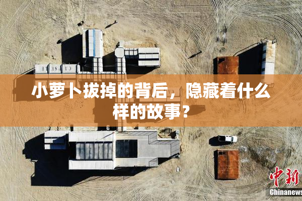 小萝卜拔掉的背后，隐藏着什么样的故事？